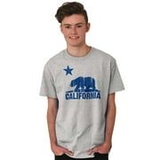 Vintage California Flag CA Bear Souvenir Graphic T Shirt Men or Women Brisco Brands