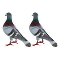 thumbnail image 2 of Maoww Modèle en Mousse Simulation Cadeaux de Fête Oiseau une Mousse Artificielle Pâques 2 Pcs Style Cadeaux 2 Pcs Style A, 2 of 6