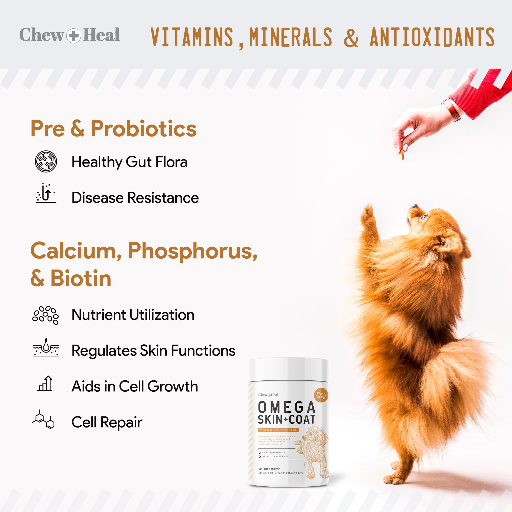 Chew + Heal Digestive Enzyme Supplement for Dogs - 120 Soft Chew Treats