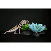 Komodo Artificial Green and Blue Plastic Succulent Plants with Gravel Base, 3 Pack, Aquarium Decor