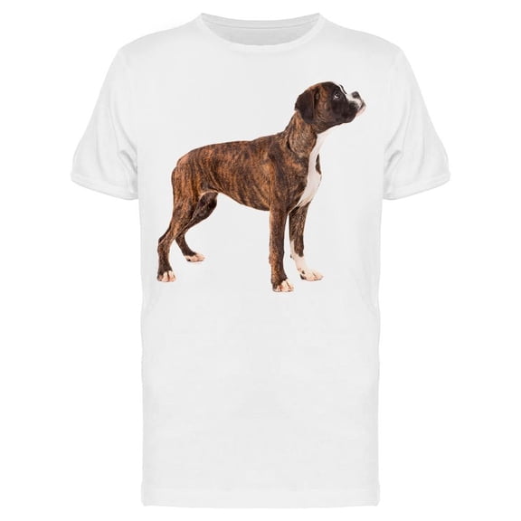 Studio Photo Of A Baby Boxer T-Shirt Men -Image by Shutterstock, Male x-Large