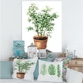 thumbnail image 2 of Designart ' Ficus Benjamina Plant In Clay Flowerpot ' Traditional Canvas Wall Art Print, 2 of 4