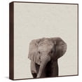 thumbnail image 3 of Elephant Surprise Floater Framed Painting Print on Canvas, 3 of 5