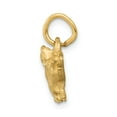 thumbnail image 2 of FB Jewels 14K Yellow Gold Pig Charm, 2 of 3