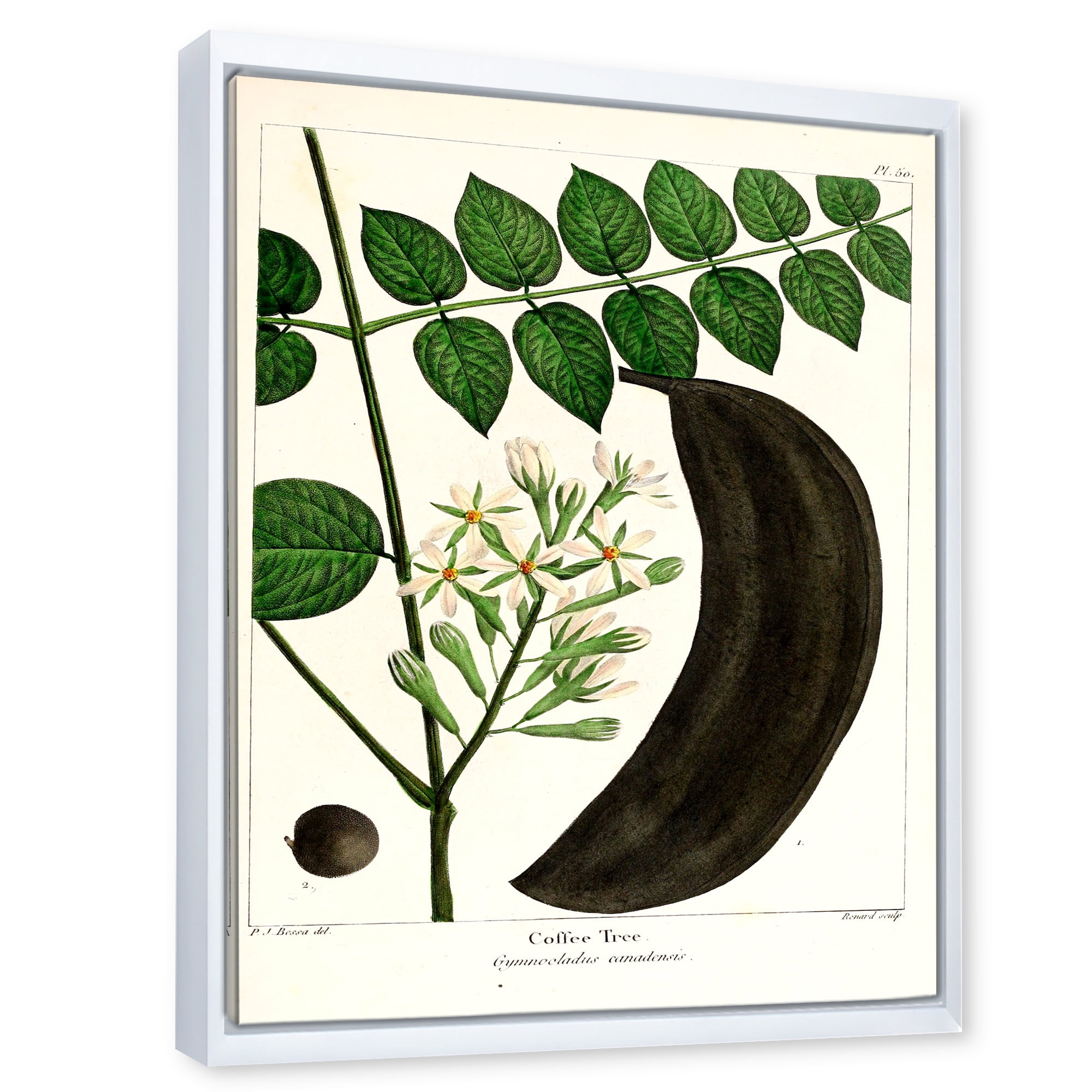 Designart 'Ancient Plant Life IX' Traditional Framed Canvas Wall Art Print