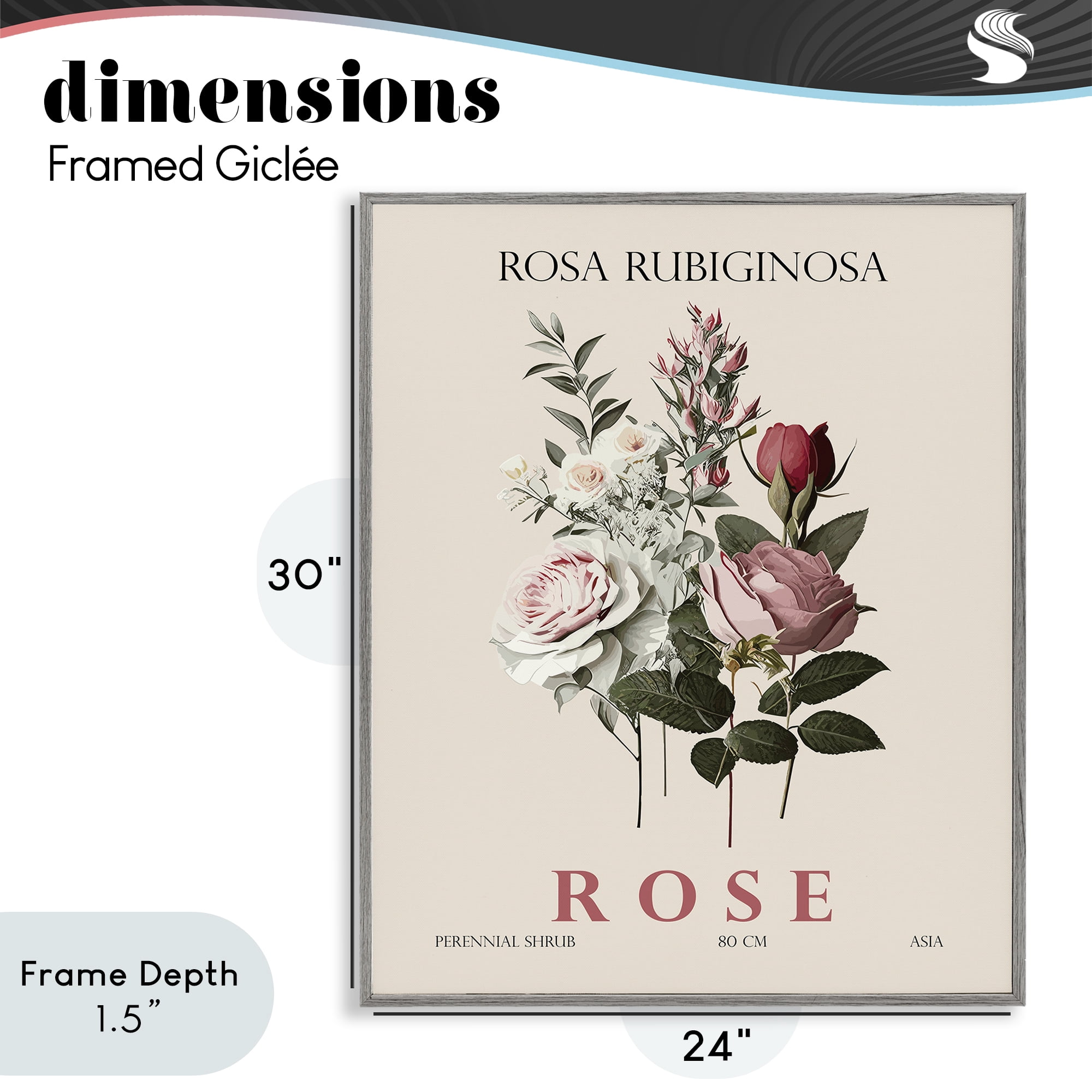 Stupell Industries Natural Rose Bundle Gray Framed Giclee Art, design by Christopher Giampietro