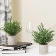thumbnail image 6 of 2 Pack Black Fake Eucalyptus Small Fake Plants Potted Artificial Plants for Halloween Decorations Shelf Desk Home Farmhouse Room Coffee Table Decor Black Bathroom Decor (Black), 6 of 6