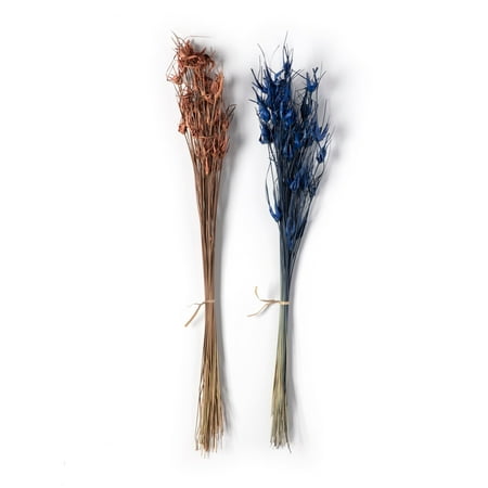 UPC: 0191518203332 | Assorted Star Grass Bundle by Ashland®