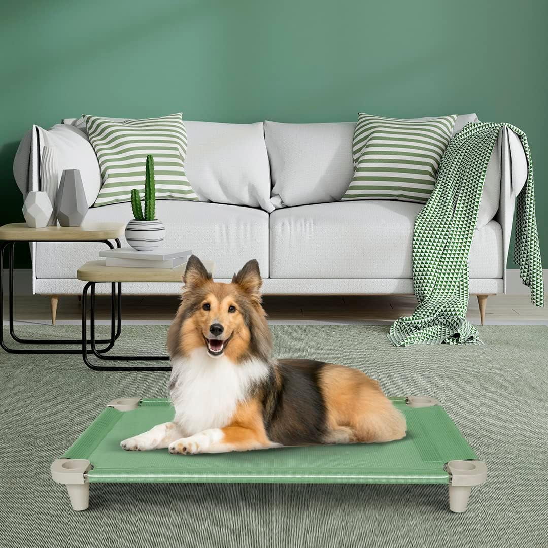 Acrimet Elevated Cooling Dog Bed, Breathable Mesh Cot, Stainless Steel Frame, Fits Dogs Up to 110 lb, Green, 40 x 24 in