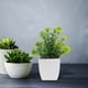 thumbnail image 4 of Pequeñas plantas artificiales en macetas para decoración de interiores. Bonsái artificial para escritorio o estantería. Decoración para baño o sala de estar. Plantas artificiales en macetas., 4 of 6