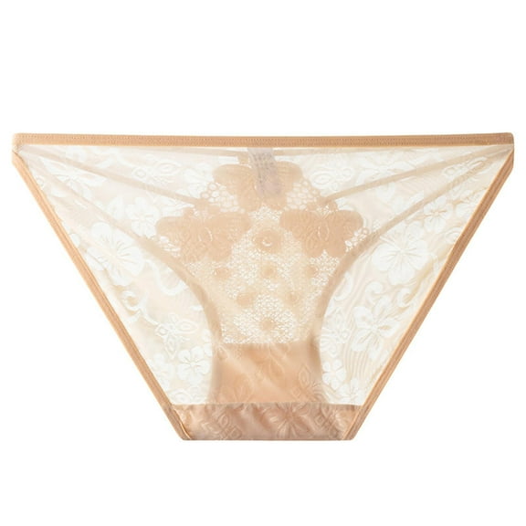 Sunvit-Panties Womens Beige Sheer Mesh Lace Panties w/Butterfly & Floral, Nylon Spandex, Free Size – Comfortable Sexy
