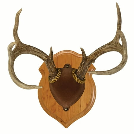 Walnut Hollow Country Deluxe Antler Display Kit in Solid Cherry for Whitetail Deer & Mule Deer