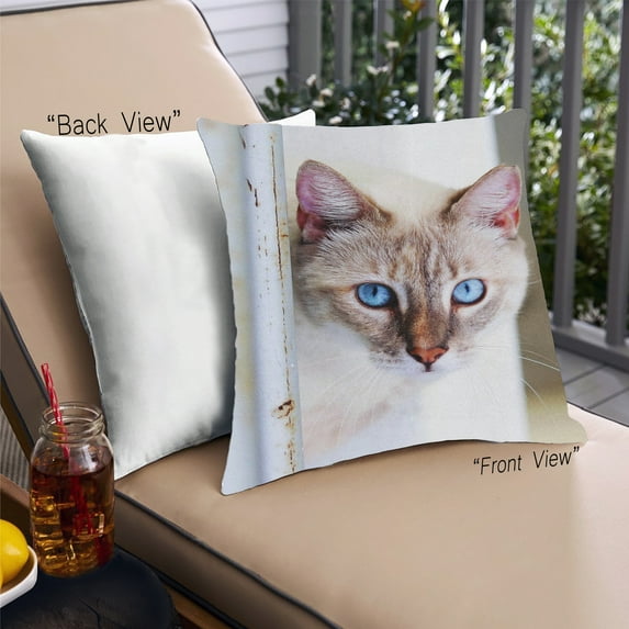 Ahgly Company Cat Cats Outdoor Throw Pillow, 18 inch by 18 inch