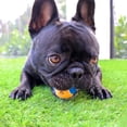 thumbnail image 3 of Midlee Pelotas de tenis para perros X-Small de 1,5 pulgadas, paquete de 12 (surtido de 1,5 pulgadas), 3 of 5