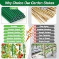 thumbnail image 5 of 123PCS Garden Stakes Set with 36PCS 16 Inch Fiberglass Plant Sticks and Stake Arms, DIY 4ft 5ft 6ft 7ft 8ft Tomato Stakes, Garden Stakes for Vegetables Tomato Pepper Indoor Outdoor Plants, 5 of 7