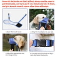 thumbnail image 3 of Bozal de perro Heele Fashion, suave, de nailon para perros, color azul cielo, tamaño mediano, 3 of 7