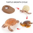 thumbnail image 4 of 4 Piece Insect Figure Animal Life Cycle Plastic Brood To Mature Period, 4 of 9
