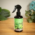 thumbnail image 2 of Scentsationals Room Spray Peppermint & Tea Tree, 2 of 4