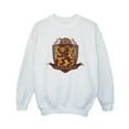 thumbnail image 1 of Harry Potter Boys Gryffindor Chest Badge Sweatshirt, 1 of 3