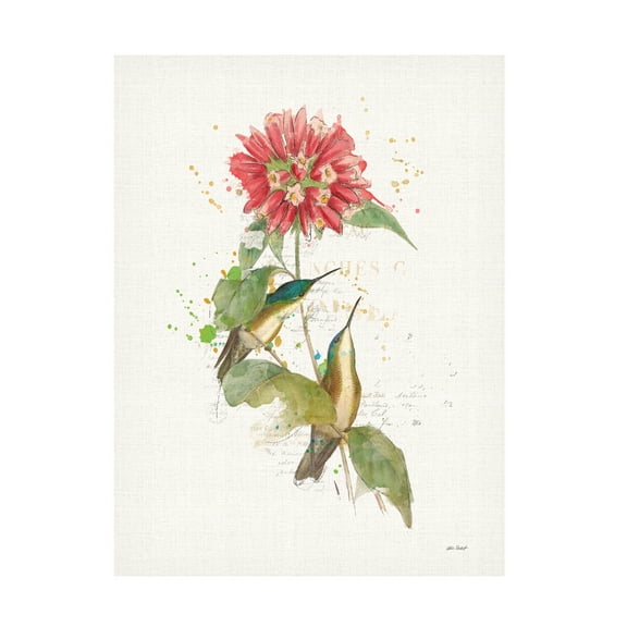 Trademark Fine Art Katie Pertiet Colorful Hummingbirds I Canvas Wall Art - 14x19