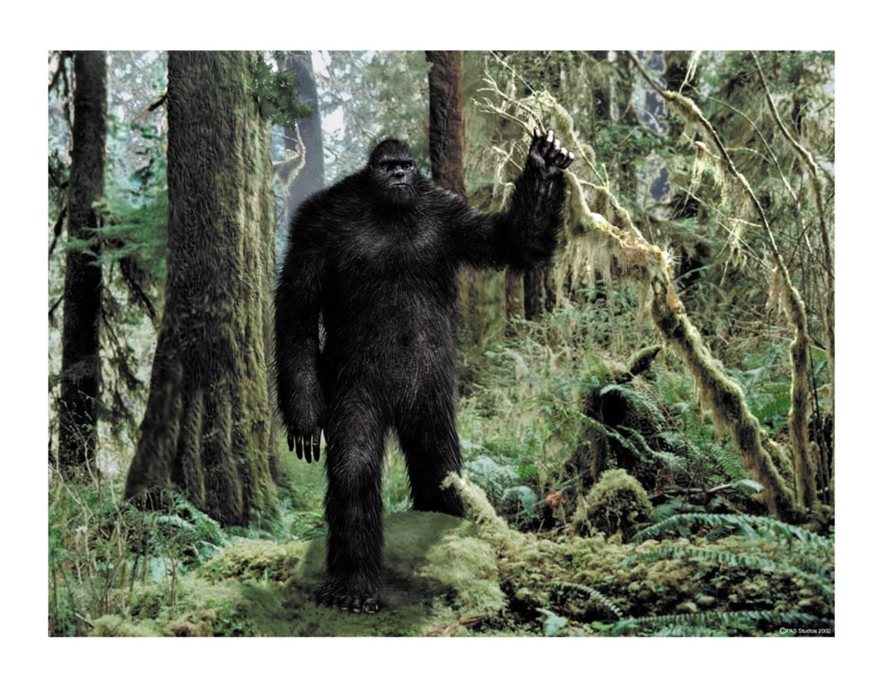 bigfoot toys walmart