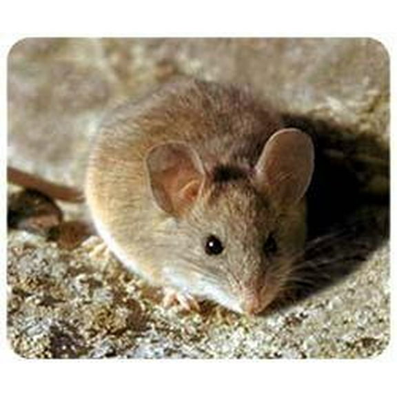 Lumalack Mouse Mousepad