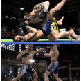 thumbnail image 4 of Men's Animal Spirits NOGI Compression Spats Shorts for BJJ Multi-Sport, 4 of 5