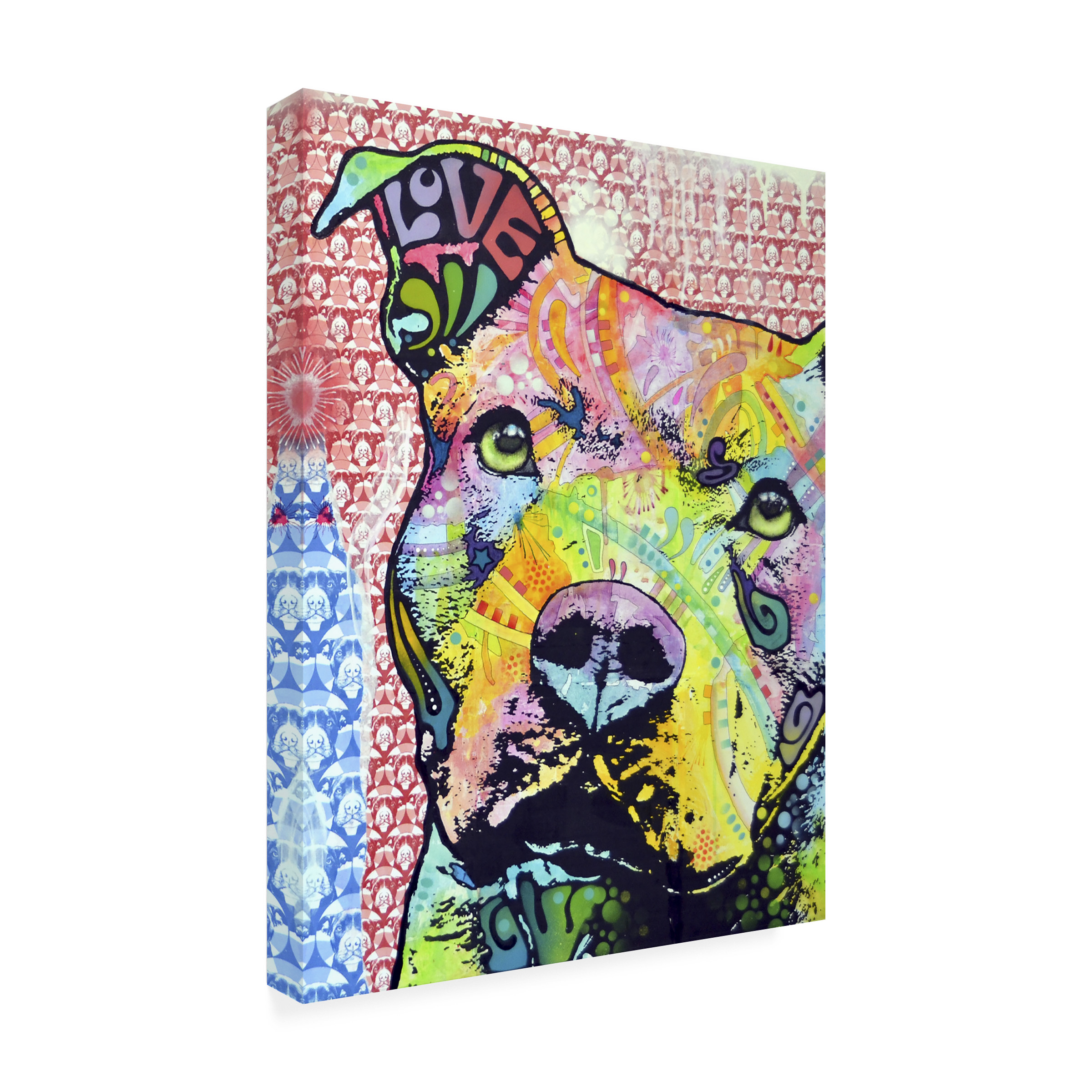 35x47 Gallery Wrapped Canvas Art