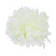 thumbnail image 2 of Cabezas de flores artificiales Sincero Caléndula 50 piezas Color crema 10 cm, 2 of 10