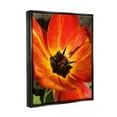 thumbnail image 3 of Stupell Industries Bold Red Poppy Flower Blossom Petals Photograph Jet Black Floating Framed Canvas Print Wall Art, Design by Heidi Bannon, 3 of 5