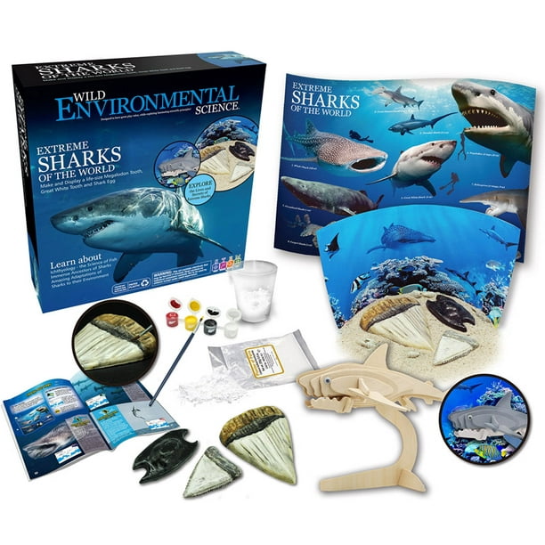 Extreme Science Kit Sharks Of The World