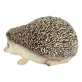 thumbnail image 4 of Figurine de Collection Bébé Réaliste Mammifère Spinal Hedgehog 6 Pouces L, 4 of 6
