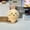 115-1, variant on Chiikawa Usaki Xiaobaji Ikawa Cute Plush Pillow Pillow Doll Doll