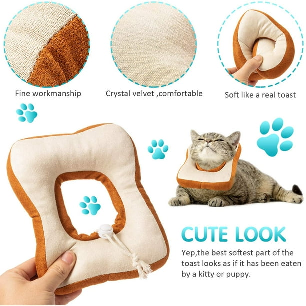 Walmart cat cone collar 2025