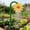 A - 106X28CM, variant on Rotating Sprinkler Garden Irrigation Head Dancing Water Gear Outdoor Watering Accessory Courtyard Spray Device Landscape Water Supply Tool ,B - 106X28Cm