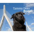 thumbnail image 1 of Tammy Does Boston, 1 of 1