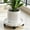 White-Free Size-DCC260421021WH, variant on Rolling Flower Pot Stand Planter Caddy Plant Tray Pot Dolly Moving Flower Pots Wine Barrels Trash Cans Planter Rack Home Garden Patio Porch Yard Deck Lawn Balcony for Indoor Outdoor Planters Gift