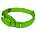 thumbnail image 4 of Country Brook Petz® Hot Lime Green Reflective Nylon Martingale Dog Collar, Extra Large, 4 of 6