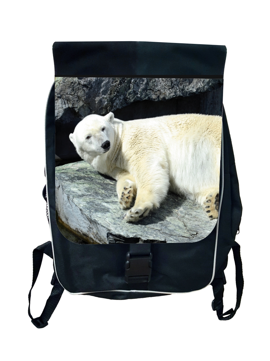polar backpacks