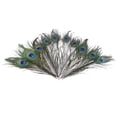 thumbnail image 2 of Farfi 10Pcs Peacock Feathers Attractive DIY Creation Natural Peacock Eye Tail Feather for Party (See description), 2 of 9