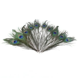 Natural Peacock Feathers 30-35 Inches Long (20 Pcs per Bundle)