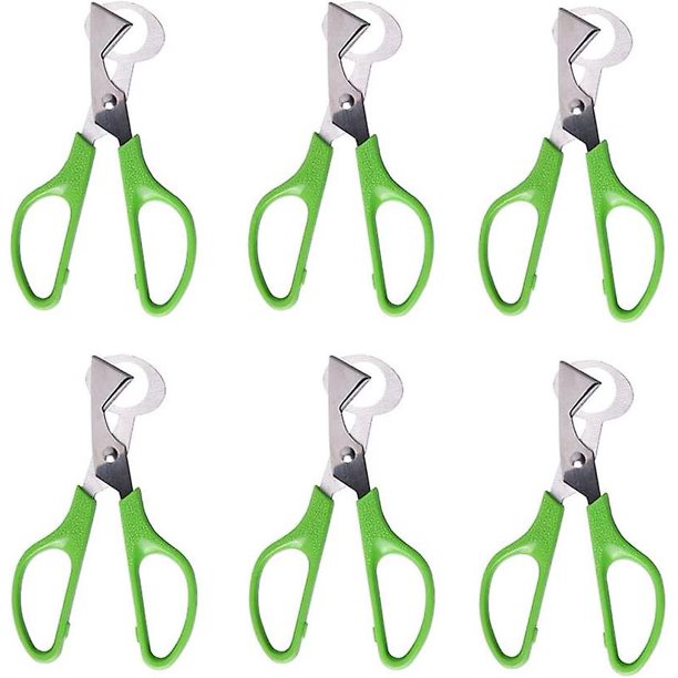 Juego de 6 cortadores de cáscara de huevo de codorniz verde de acero inoxidable, separador, abridor de galletas, herramienta de hoja de acero inoxidable.