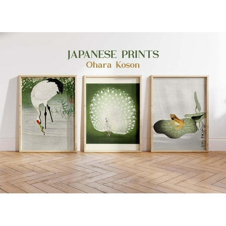 UNFFRAMED Vintage Posters Set Of 3, Japanese Wall Art, Ohara Koson Posters, Japanese Posters, Peacock Wall Art, Japanese Woodblock Poster, Green Gallery Set 3 Prints 8x12