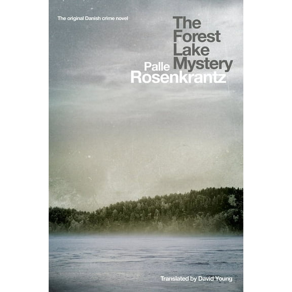 The Forest Lake Mystery (Paperback)