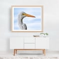 thumbnail image 5 of Great White Egret - Photography Bird Wildlife Nature Aquatic Animal Portrait Coastal Unframed Wall Art Print 24 x 30 inches, 5 of 6