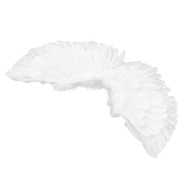 Conjunto De Disfraz De Alas De ángel, Alas De Plumas Con Aro Y Varita Para El Cabello, Accesorios De Fiesta Temáticos Para Presentaciones Escénicas Y