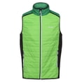 thumbnail image 1 of Regatta Mens Halton VII Padded Gilet, 1 of 6