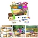 thumbnail image 5 of para Cultivar Flores de Pintura Y Planta Que Incluye Macetas para Jardineras de Bricolaje Macetero de Bricolaje Herramientas de Pintura Y Plantaci, 5 of 8