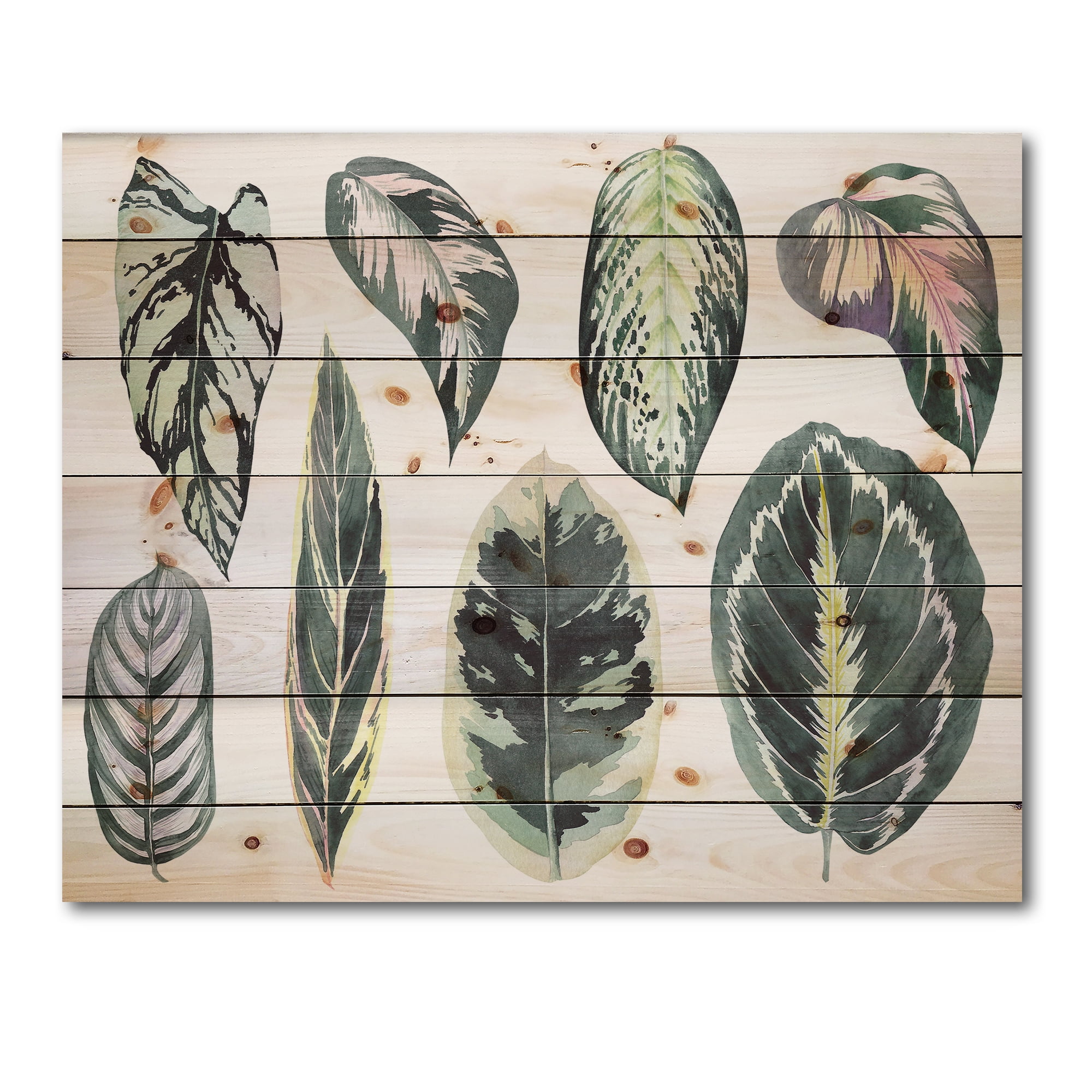 Designart 'Tropical Calathea Leaves On White' Bohemian & Eclectic Print on Natural Pine Wood