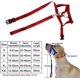 thumbnail image 4 of Collar de cabeza acolchado para perros, cabestro de entrenamiento, herramienta de entrenamiento que evita que tiren, 4 of 4